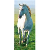 Dcoporte - White Horse