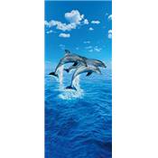 Dcoporte - Three dolphin