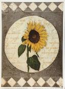 Affichette "Harlequin Sunflower"