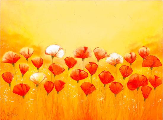 Affiche "Wild red Poppies"