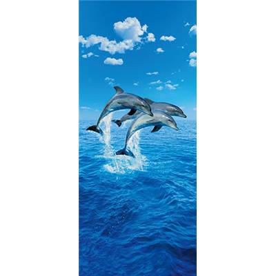 Décoporte - Three dolphin
