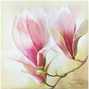 Affiche Magnolia Liliflora