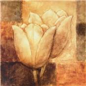 Affiche Deux tulipes blanches