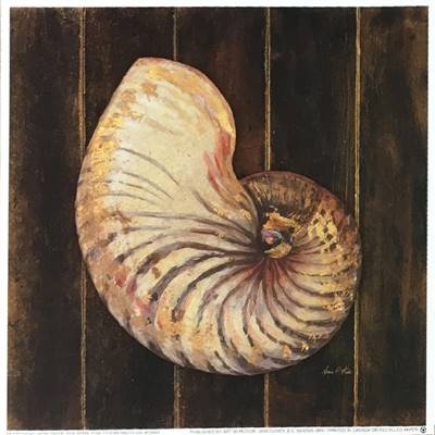Affichette Ocean Nautilus