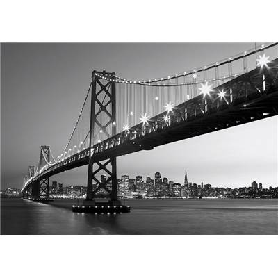San Francisco Skyline - 8P