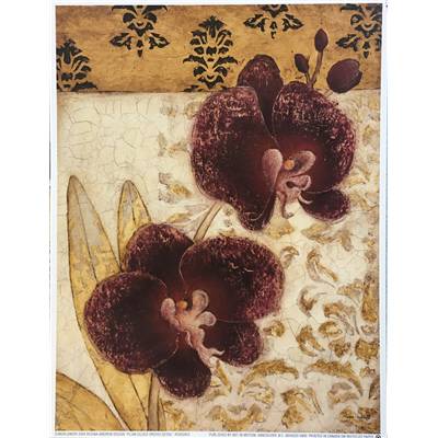 Affichette "Plum Gilded orchid detail"