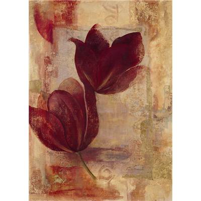 Affiche Tulip abstract I