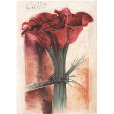 Affiche Gracile Callas