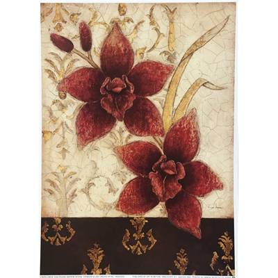 Affichette "Crimson Gilded orchid detail"