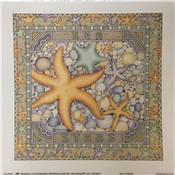 Affichette Sea Stars