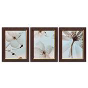 Lot de 3 cadres Dallas "Fleurs"