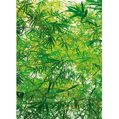 Bamboo (feuillu) - 4P
