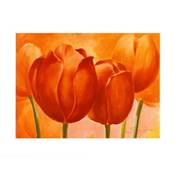 Affiche Peach Tulips