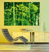 Poster XXL - Bamboo in Spring