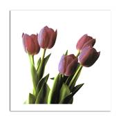 Affiche Tulipes roses
