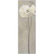 Affiche Poppy in white V