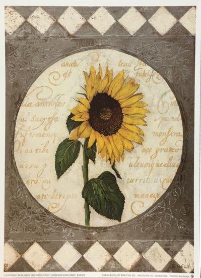 Affichette "Harlequin Sunflower"