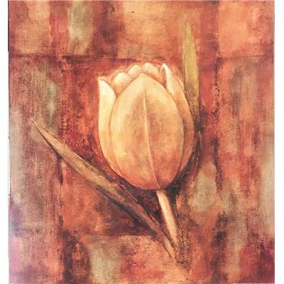 Affiche "Tulipe blanche"
