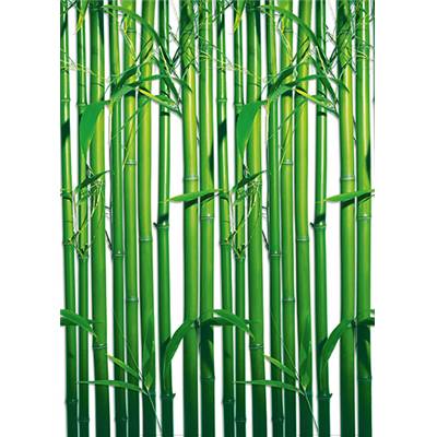 Bamboo (tiges)- 4P