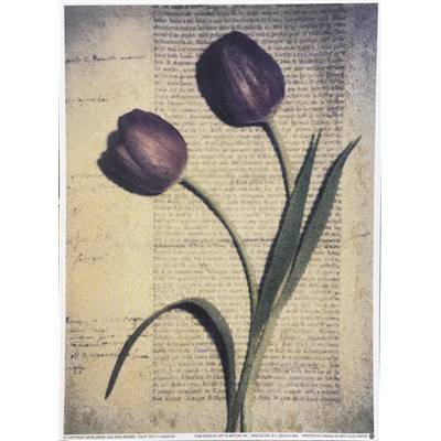 Affichette "Tulip text 2"