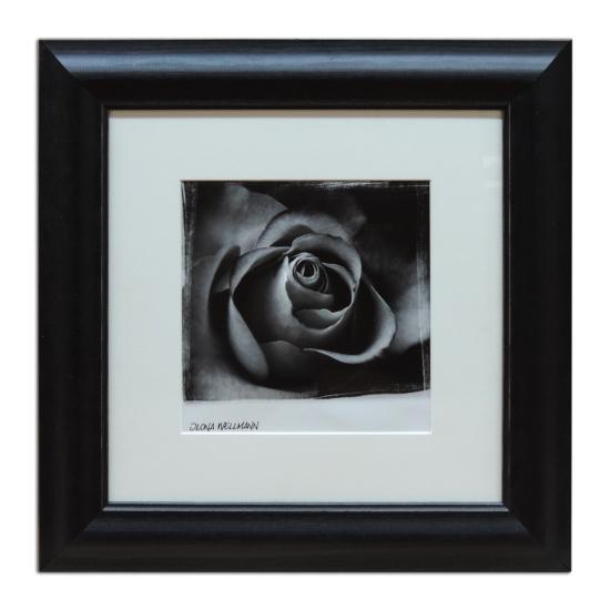Cadre Paris noir avec passe-partout + affiche the White Rose II
