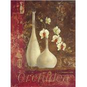 Affiche Orchidea