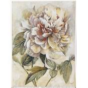 Lot de 2 affichettes Floral Adornment Detail 1 & 2