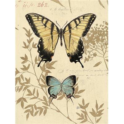 Affiche Papillons