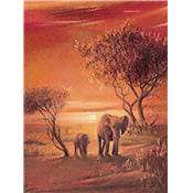 Affiche Sunset with Éléphants