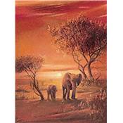 Affiche Sunset with lphants