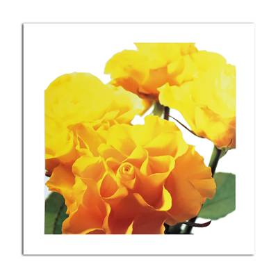 Affiche Roses jaunes