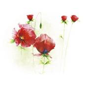 Affiche Red poppies I