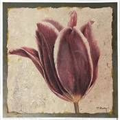 Affichette Tulip Fragment detail